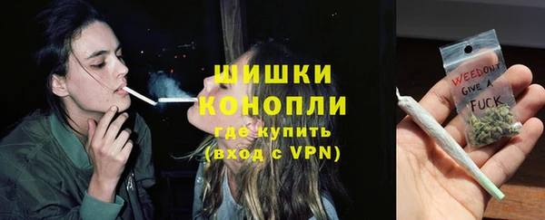 дурь Болохово