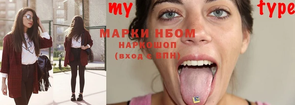 хмурый Няндома