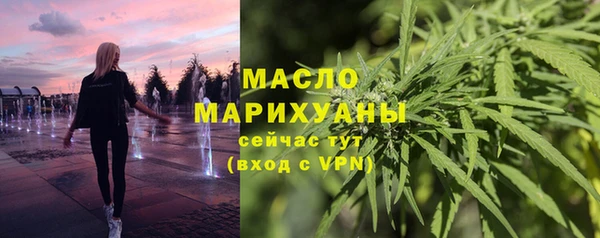 хмурый Няндома