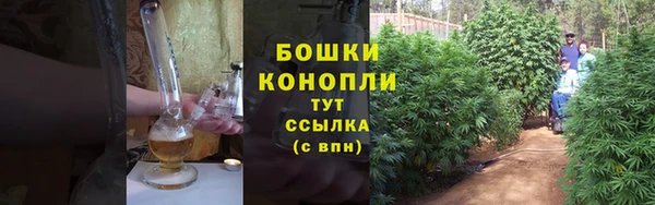 дживик Новокубанск