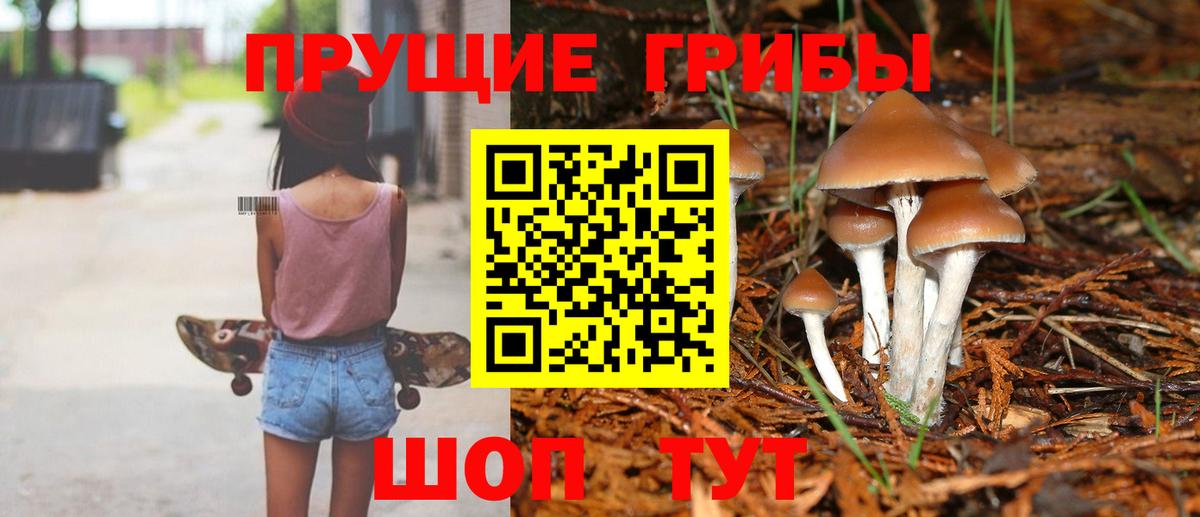 Псилоцибиновые грибы мухоморы  Вход с VPN  Югорск  Псилоцибиновые грибы ЛСД 