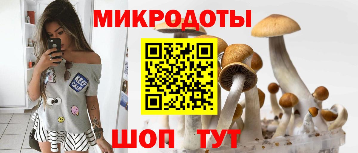 Галлюциногенные грибы MAGIC MUSHROOMS Югорск