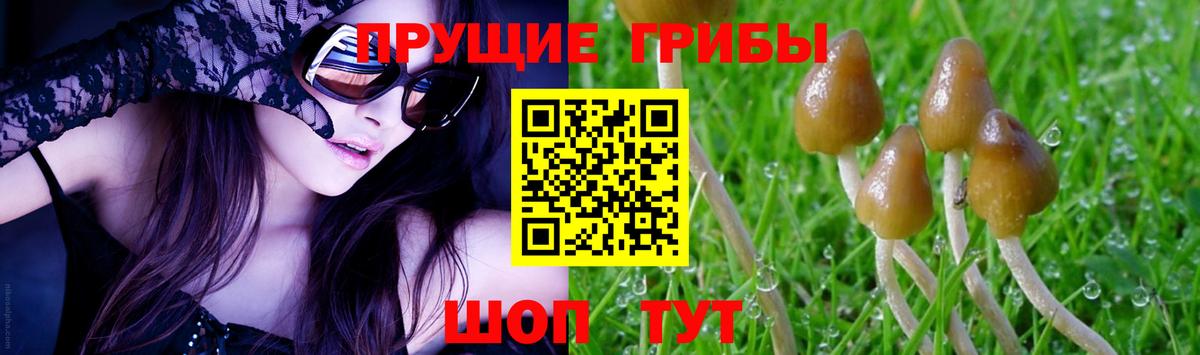 Галлюциногенные грибы мухоморы Югорск